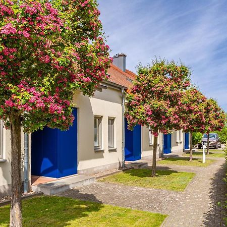 Apartment Biber Mit Terrasse Dewichow Exterior foto